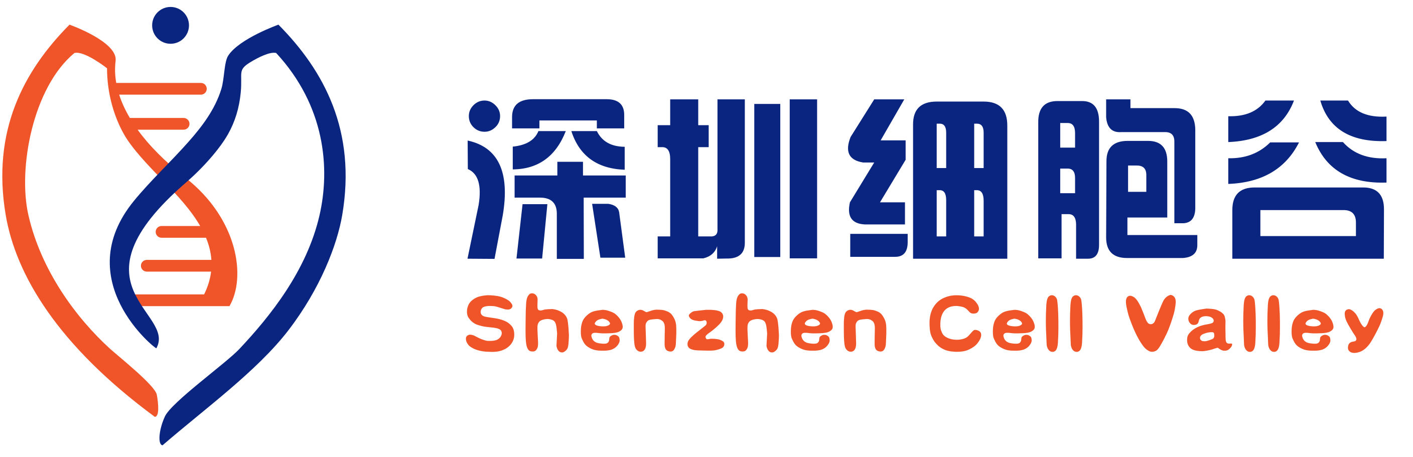  web name